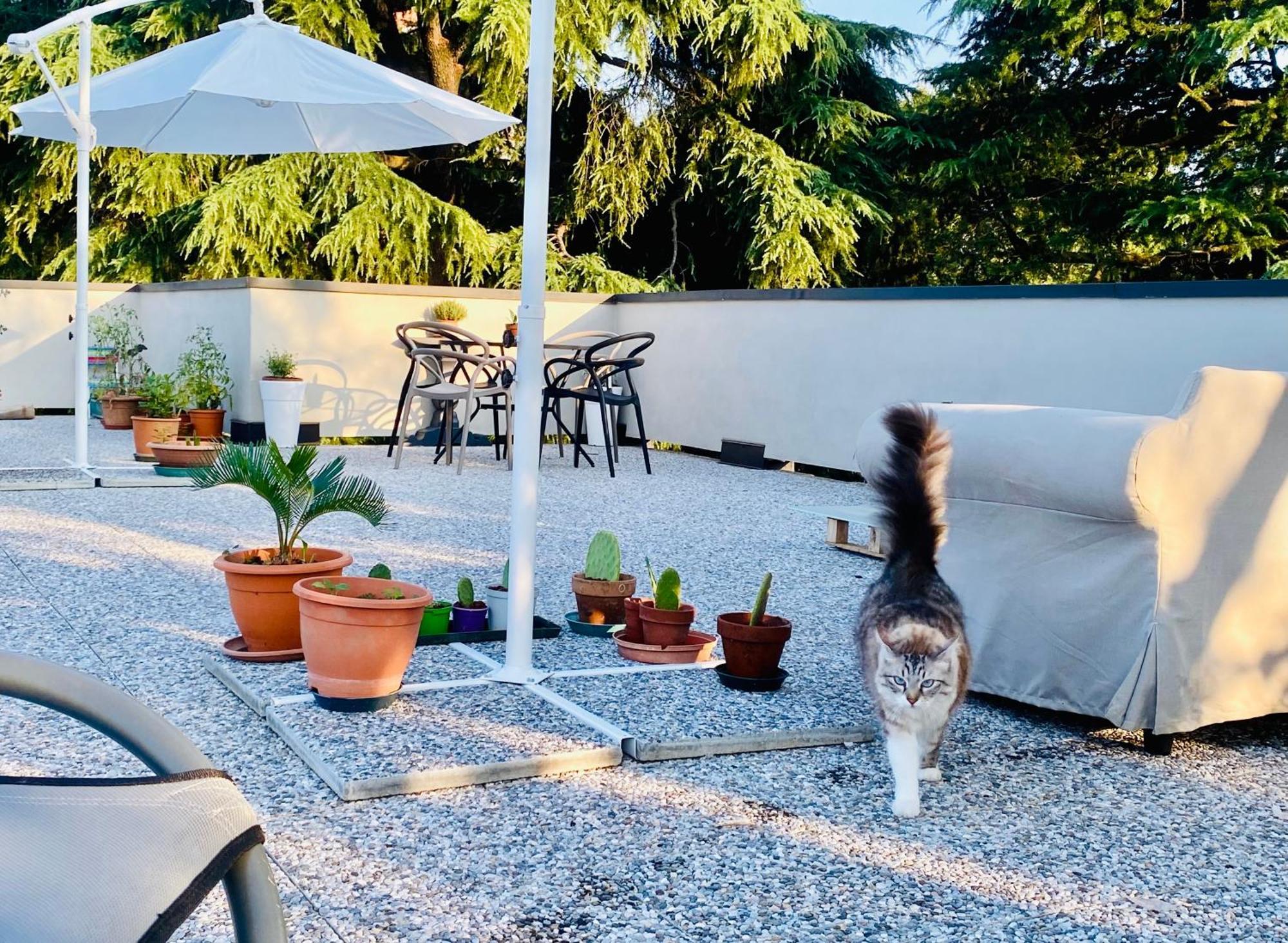 밀라노 The Luxory Cat B&B 외부 사진