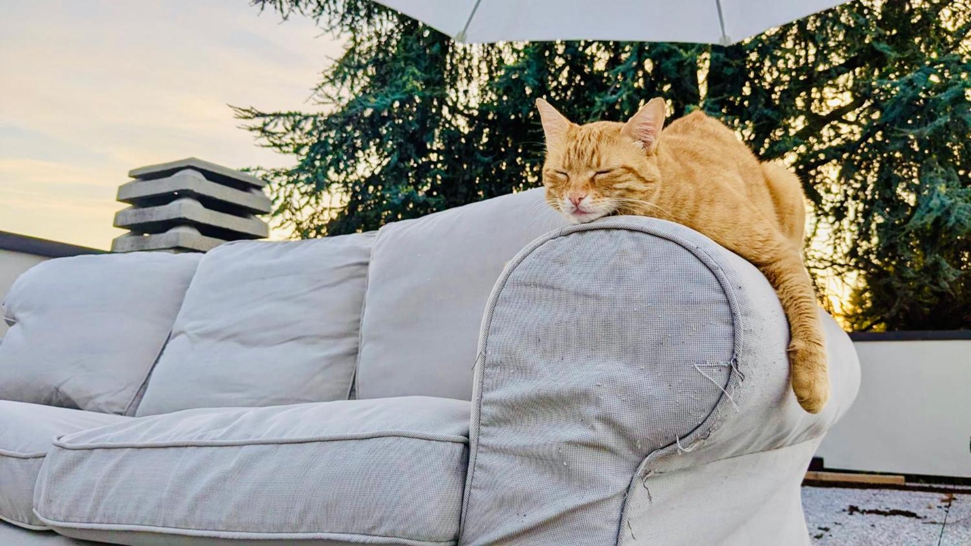 밀라노 The Luxory Cat B&B 외부 사진