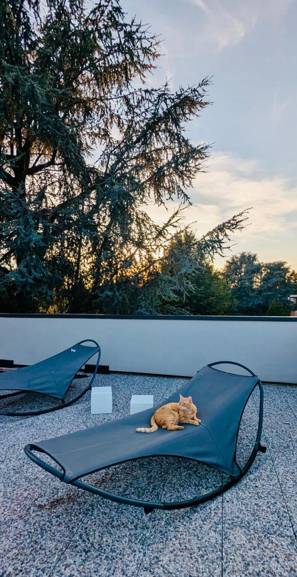 밀라노 The Luxory Cat B&B 외부 사진