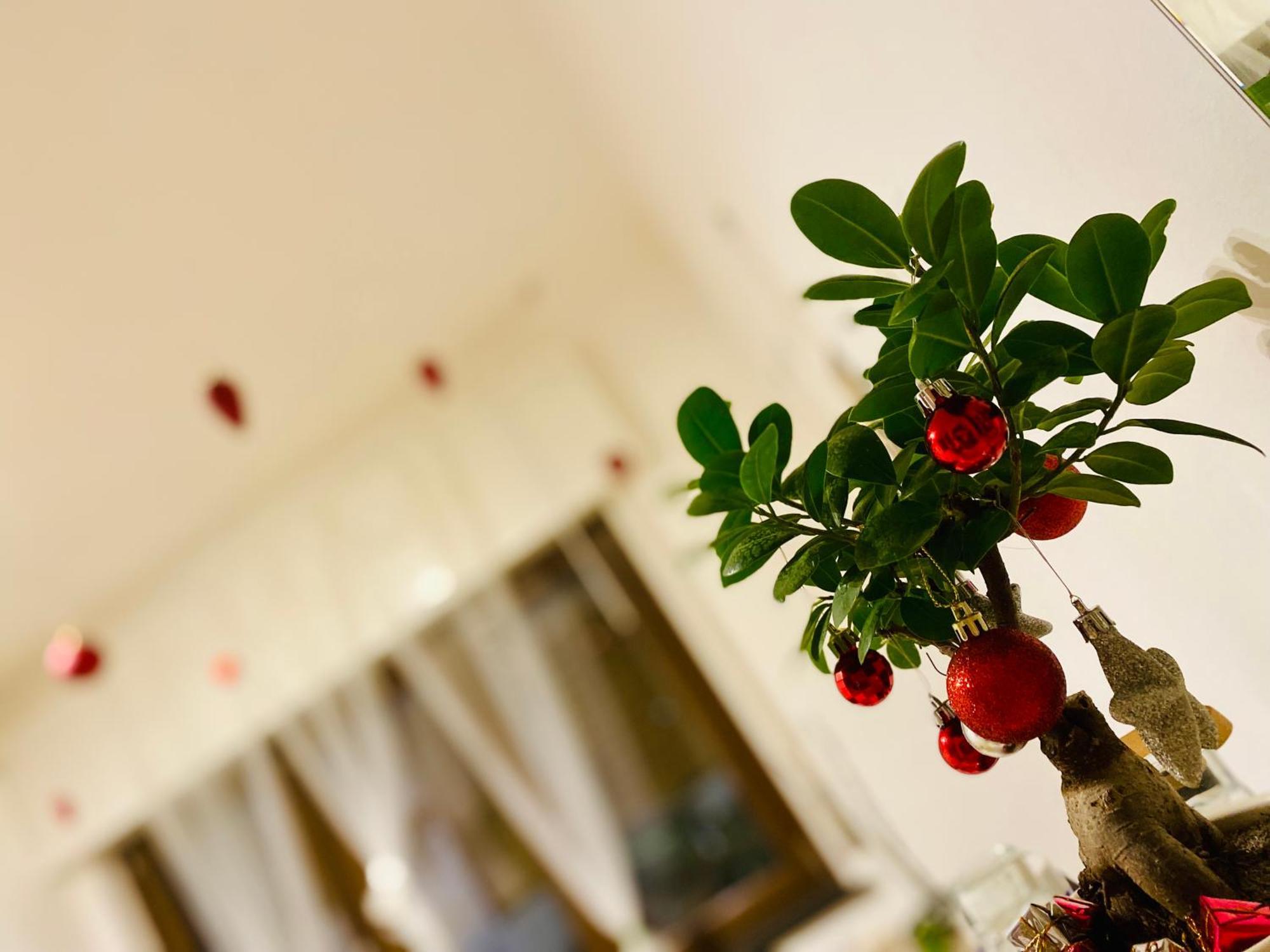 밀라노 The Luxory Cat B&B 외부 사진
